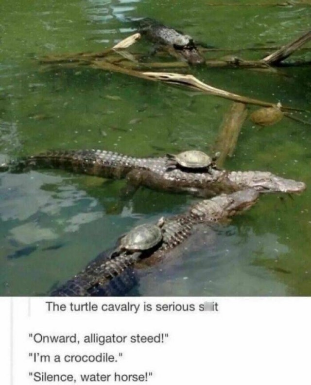sciencememes13_029
