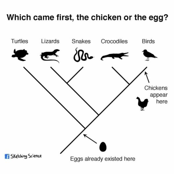 sciencememes13_039