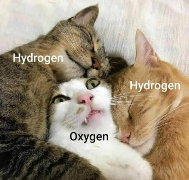 sciencememes13_040