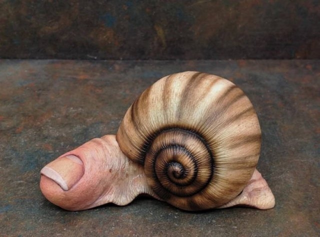 strangedesigns41_046