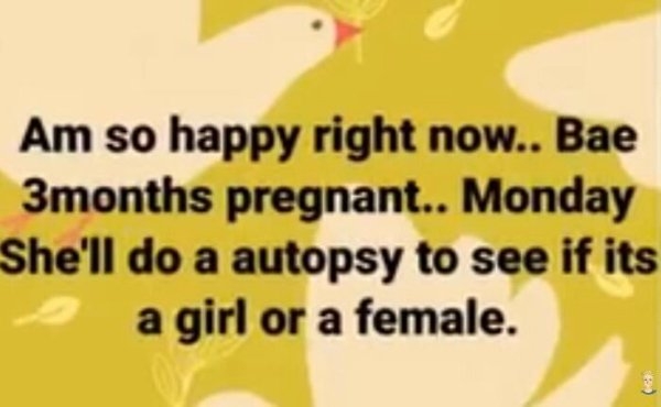 badtranslations11_012