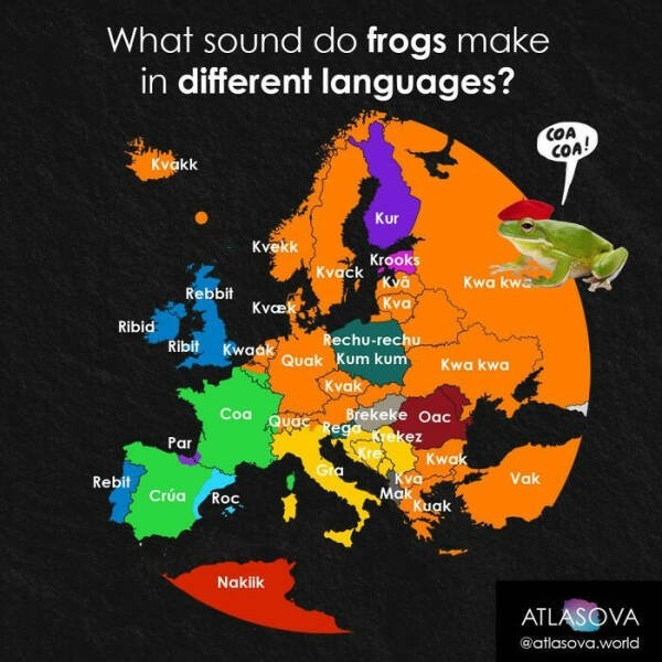 interestingdata43_022