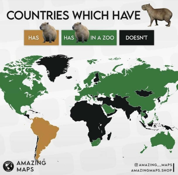 interestingdata43_023