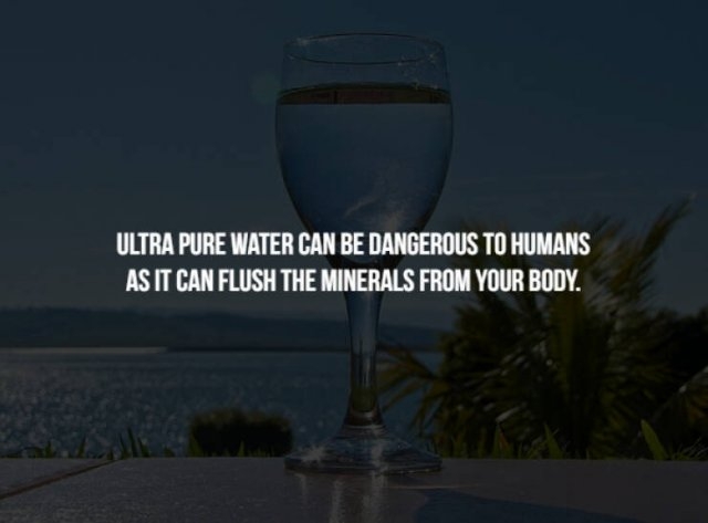 interestingfacts131_003