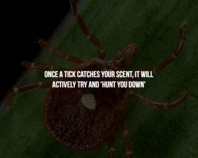 interestingfacts131_007