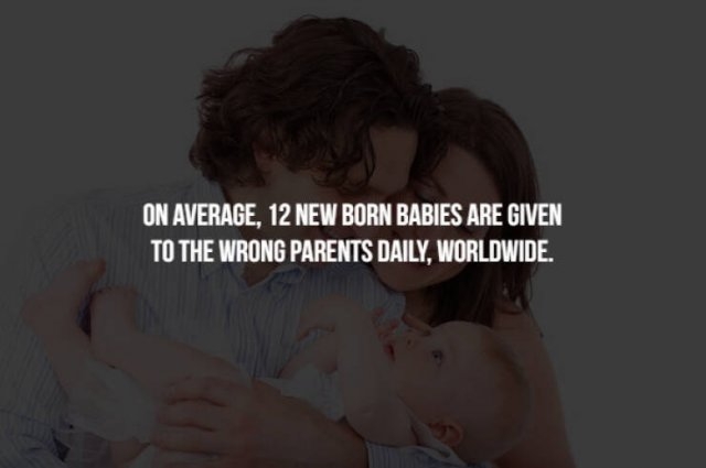 interestingfacts131_010