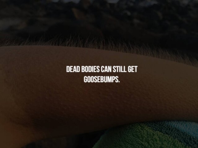 interestingfacts131_012