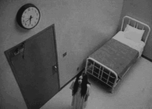 interestingfacts132_003