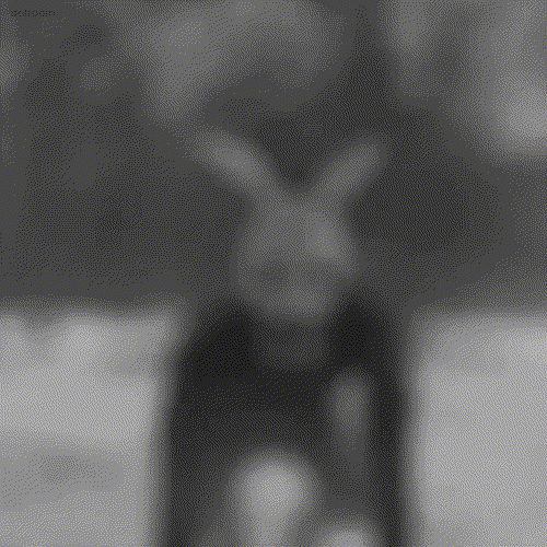 interestingfacts132_005