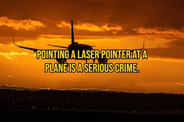 interestingfacts133_008