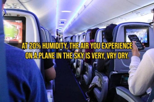 interestingfacts133_009