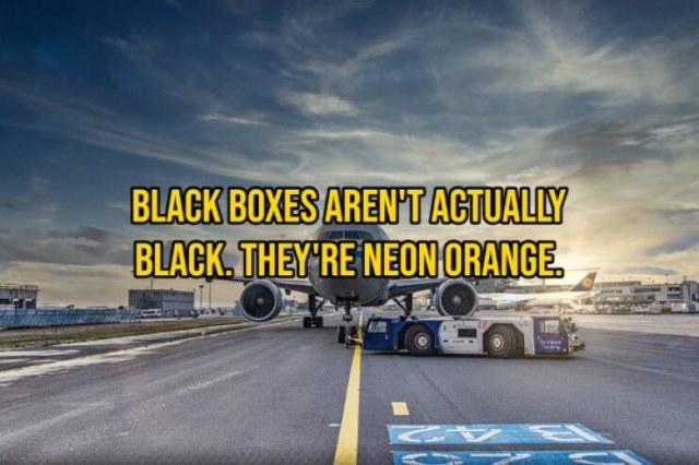 interestingfacts133_010