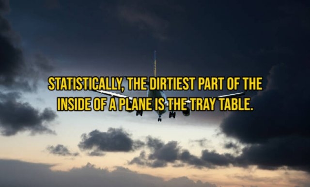 interestingfacts133_014