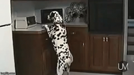 interestingfacts136_002