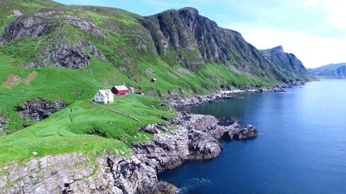 interestingfacts136_011