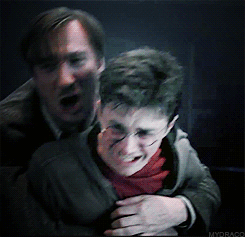 interestingfacts137_007