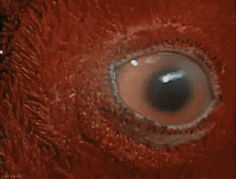 interestingfacts138_001