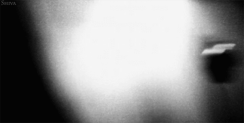 interestingfacts138_003