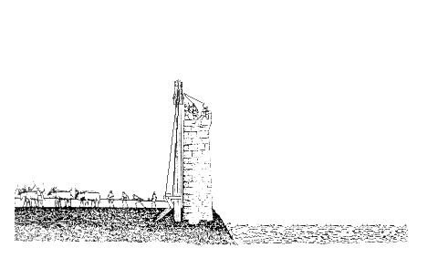 interestingfacts139_001