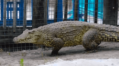 interestingfacts141_002