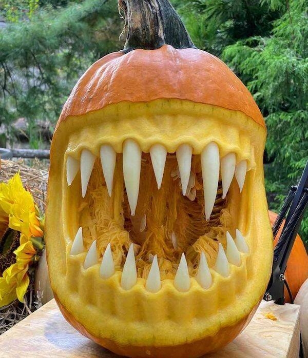 interestingfacts141_005