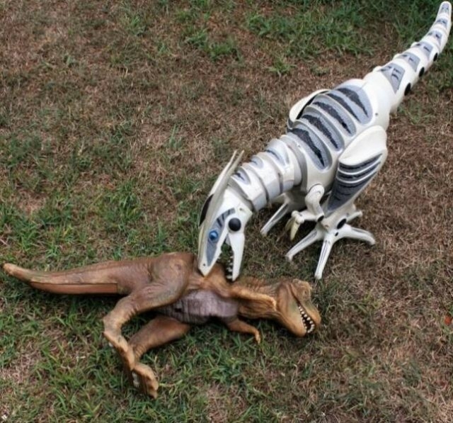 interestingfacts141_020