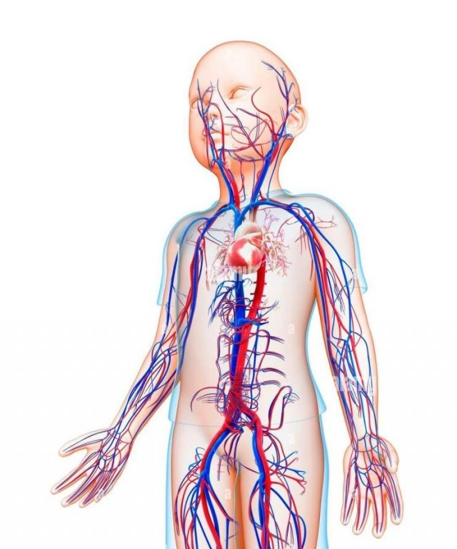 interestingfacts141_022