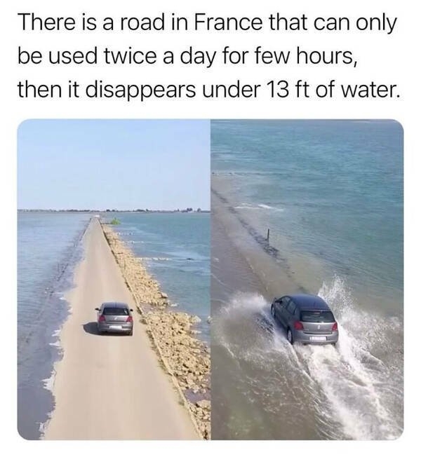 interestingfacts142_004