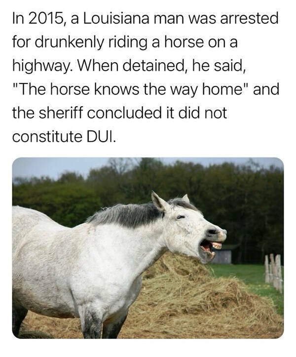 interestingfacts142_009