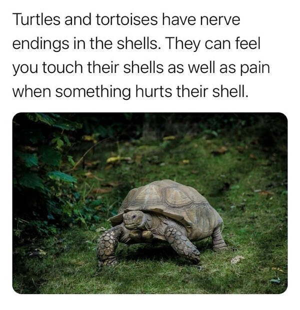 interestingfacts142_012