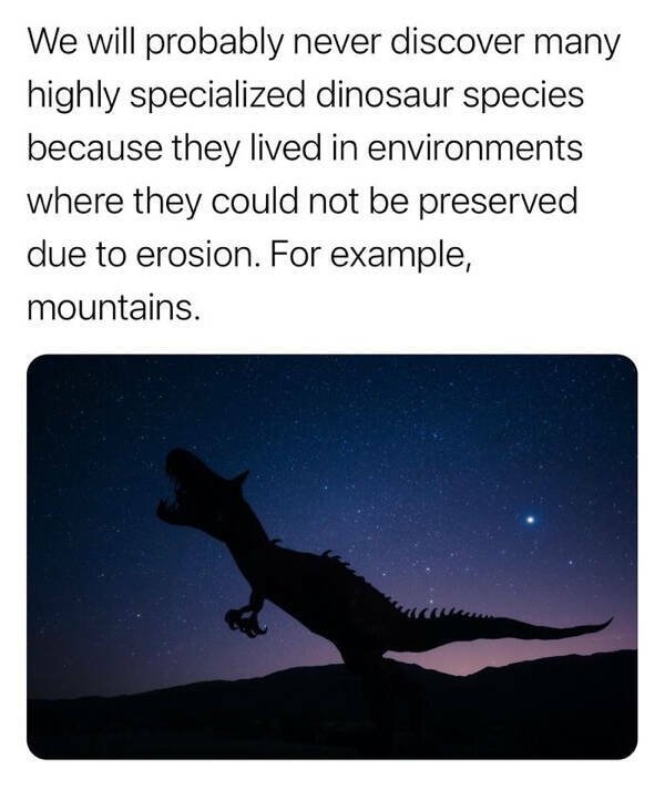 interestingfacts142_020