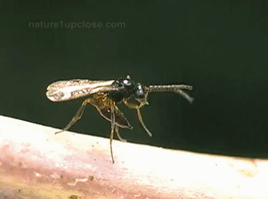 interestingfacts144_003