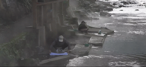 interestingfacts144_006