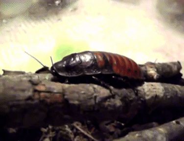 interestingfacts144_014