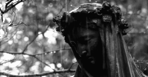 interestingfacts145_006