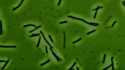 interestingfacts148_005