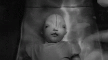 interestingfacts149_002