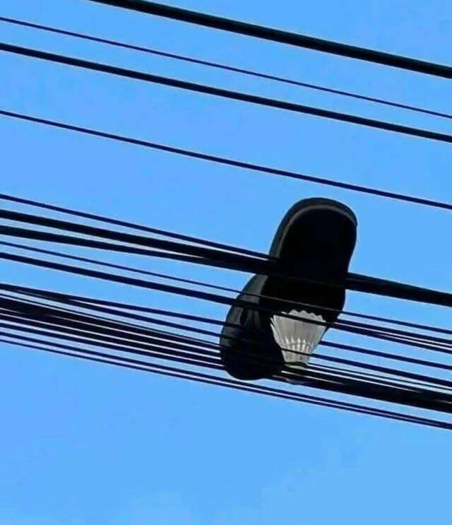randompics1440_071