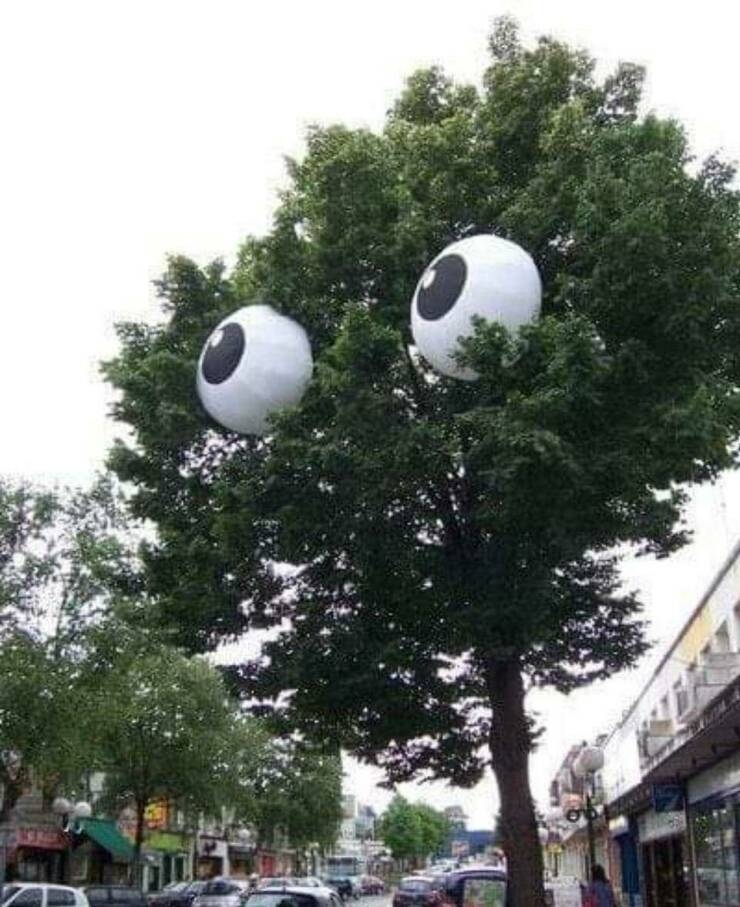 randompics1444_045