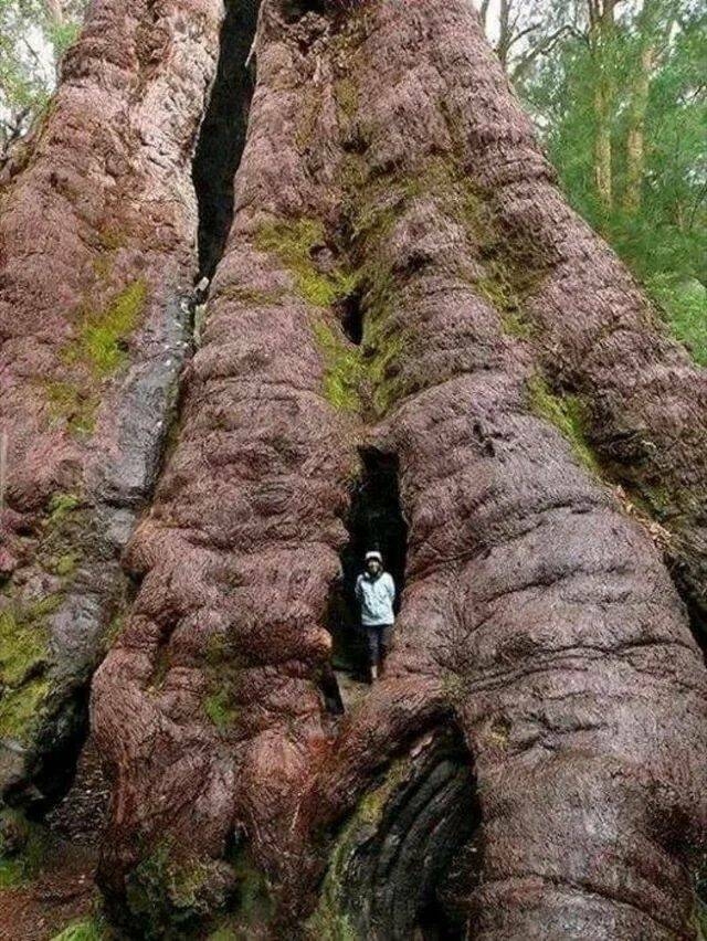 randompics1461_077
