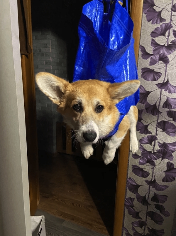 redneckengineering17_025