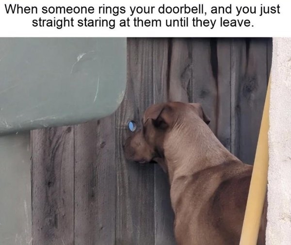 funnymemes219_005