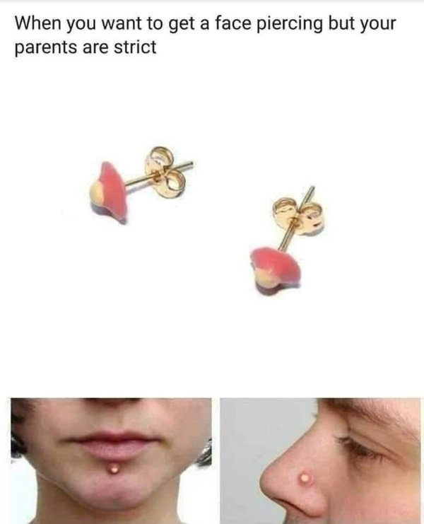 funnymemes219_006