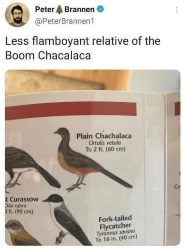 funnymemes219_015