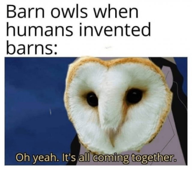 funnymemes219_023