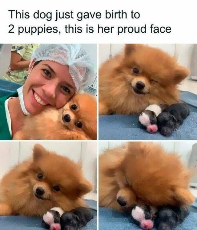 funnymemes219_034