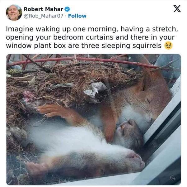 funnymemes219_035