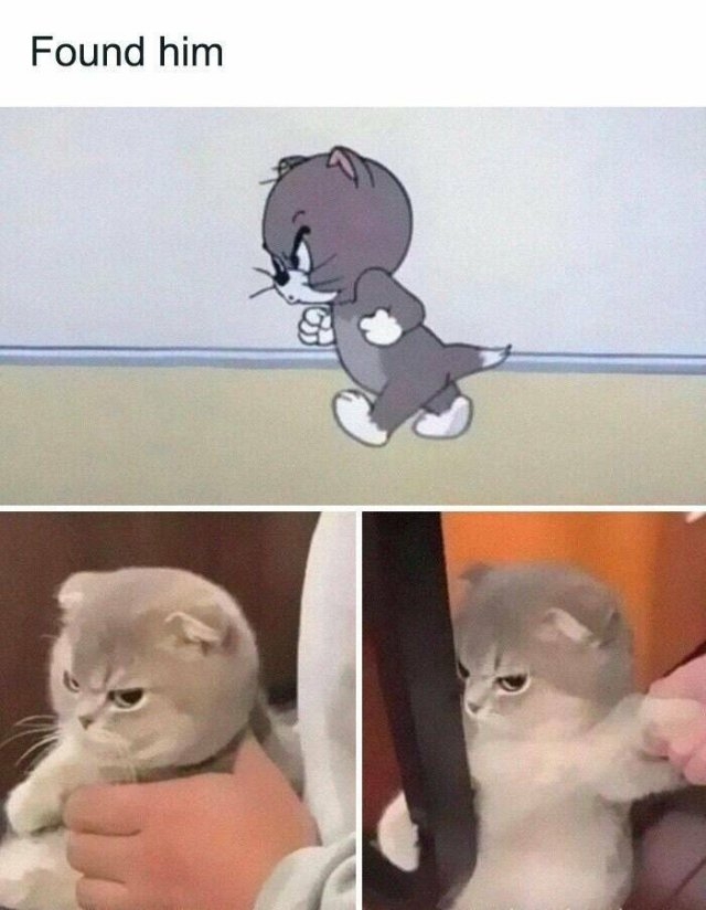 funnymemes219_036