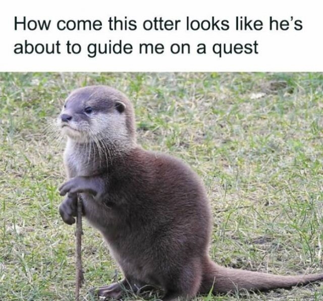 funnymemes219_037