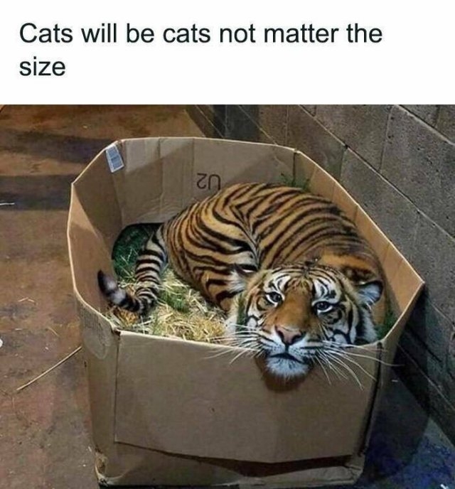 funnymemes219_038